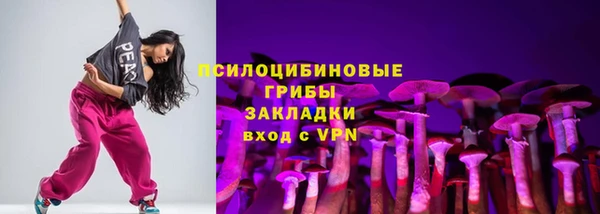 первитин Михайлов