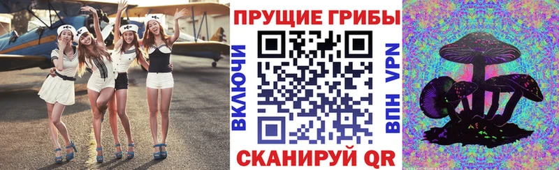наркошоп  Рославль  Псилоцибиновые грибы Psilocybe 